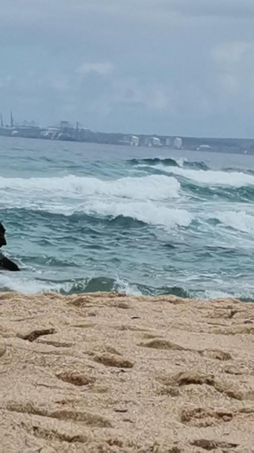 Apartamentos Guiomar Campos Porto Covo Exteriér fotografie
