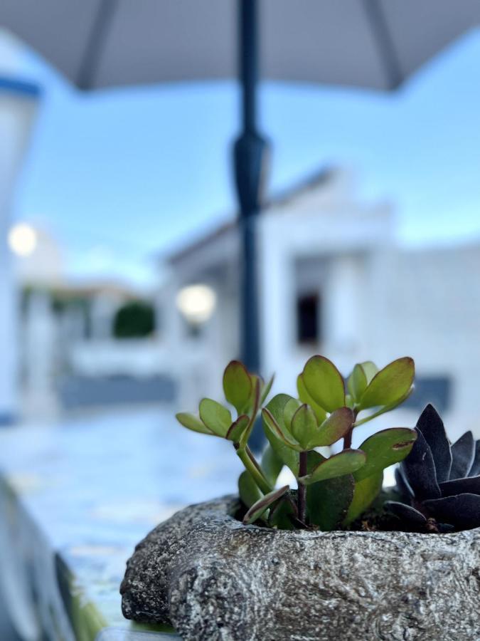Apartamentos Guiomar Campos Porto Covo Exteriér fotografie